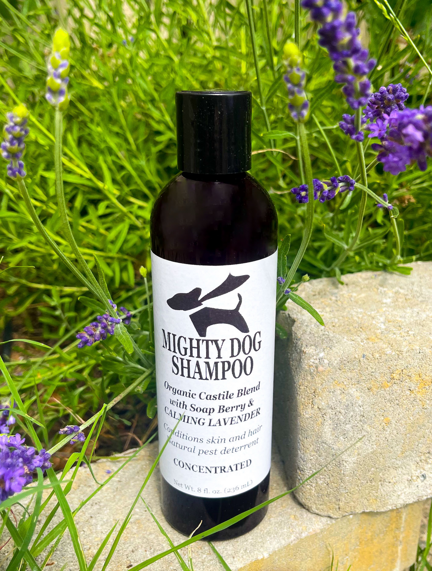 Mighty Dog Shampoo | 3x Concentrate Pure Castile W/ Soapberry & Calming Lavender